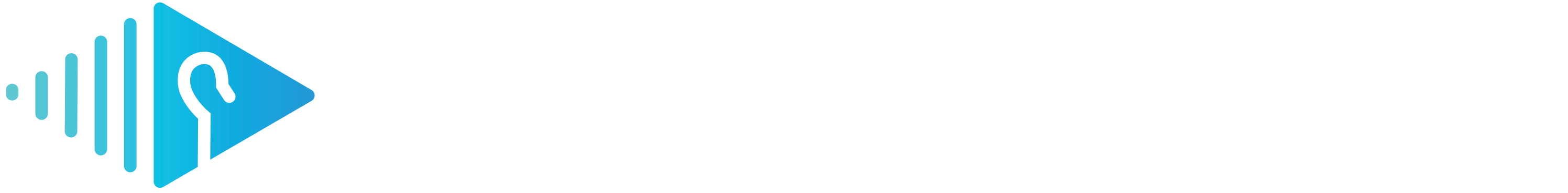 Shepherd's Voice Media